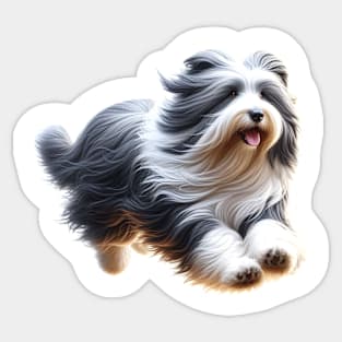 Bearded Collie Sticker